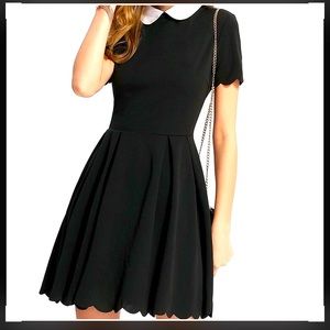 Black scalloped edge Peter Pan collar mini dress NWOT